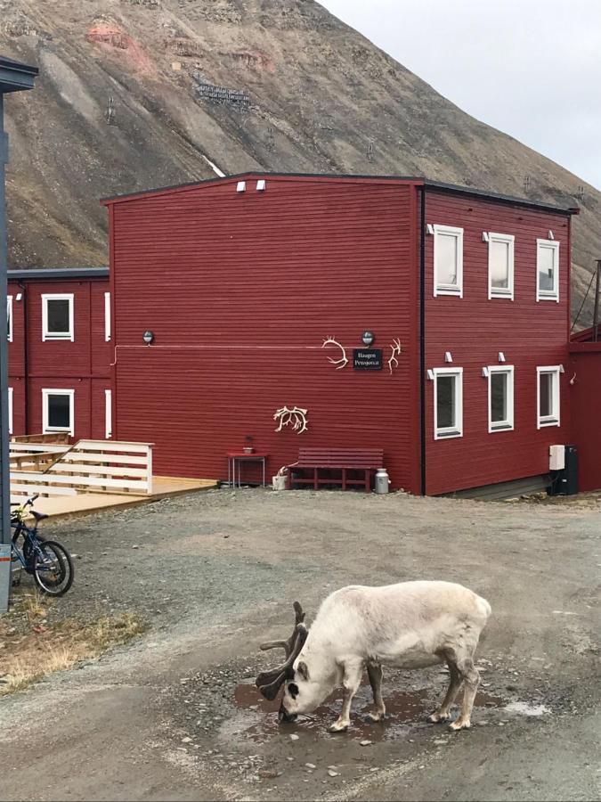 Haugen Pensjonat Svalbard Longyearbyen Eksteriør billede